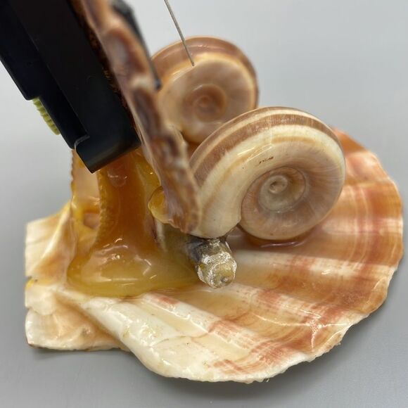 Vintage Owl Shell Art Clock Handmade Kitsch Souvenir 1970s - Picture 10 of 16